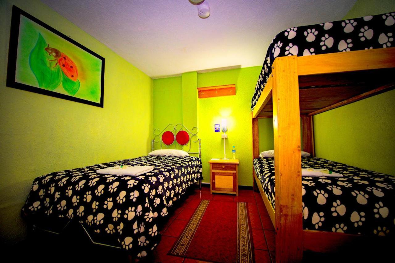 Mirador Oro Verde Quilotoa Zumbagua Luaran gambar